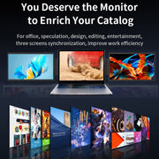 Original Portable Monitor