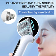 Vacuum Face Cleaner