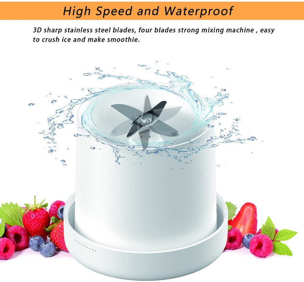 Portable Juicer Blender | Rubicon Professional 